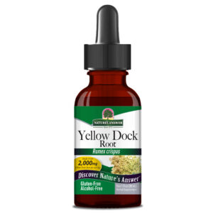 Nature's Answer Yellowdock Root Alcohol Free 1oz