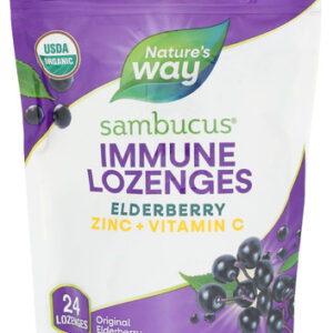Natures Way Sambucus Zinc Loz 24