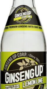 Ginseng Up Btl Lemon Lime, 12 FO.